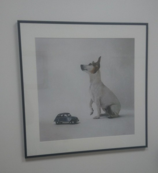Image-1-14.jpg