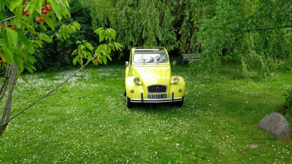 WhatsApp Image 2022-06-28 at 15.42.21.jpeg (499.21 Kio) Vu 1467 fois Arrivé chez Volker ans Tina