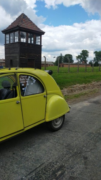 WhatsApp Image 2022-08-11 at 11.35.38.jpeg (138.87 Kio) Vu 1055 fois la barbarie humaine n'a pas de limite