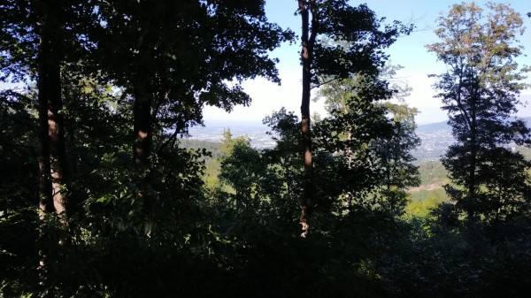 WhatsApp Image 2022-08-12 at 17.02.58.jpeg (309.77 Kio) Vu 1036 fois vu sur Bielsko