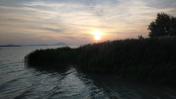 WhatsApp Image 2022-08-14 at 06.09.40.jpeg (162.93 Kio) Vu 1600 fois Réveil, ce matin, au bord du lac Balaton.