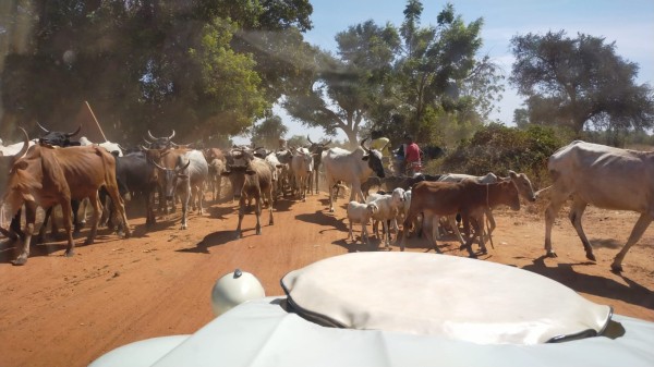 WhatsApp Image 2023-12-04 à 11.43.57_d457635d.jpg (213.14 Kio) Vu 3944 fois Petite piste sur les 14 derniers km