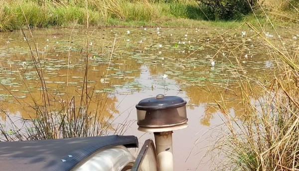 Capture 05.JPG (176.74 Kio) Vu 3876 fois nénuphars en fleurs