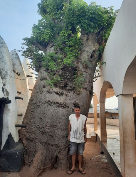 Capture 38.JPG (158.24 Kio) Vu 3861 fois Je n'ai pas tout compris, mais ce baobab, vieux de 500 ans, a été planté en lien avec le créateur de la mosquée.