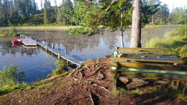 WhatsApp Image 2024-07-28 à 07.09.48_e9b4cf33.jpg (517.33 Kio) Vu 1651 fois Après la pluie cette nuit, réveil de ce matin au soleil, ça fait du bien.