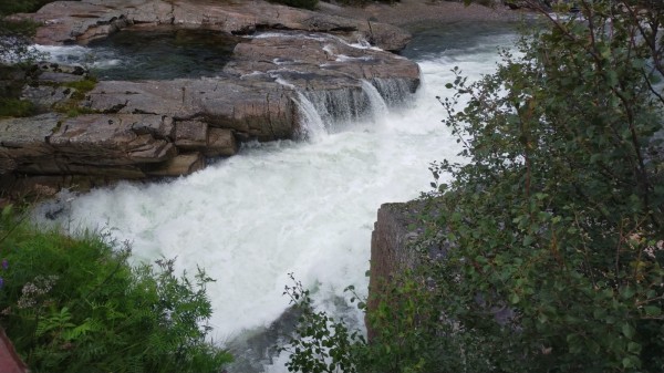 WhatsApp Image 2024-07-28 à 11.09.59_335796d0.jpg (268.24 Kio) Vu 1651 fois La route monte progressivement à 800 mètre d'altitude (mon record depuis que je suis en Scandinavie). Elle longe encore une belle rivière