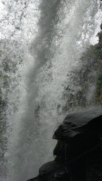 WhatsApp Image 2024-07-29 à 12.19.45_6b94c568.jpg (236.15 Kio) Vu 1627 fois vu de derrière