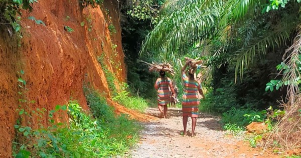 Capture 083.JPG (236.65 Kio) Vu 2726 fois Sur le chemin du retour