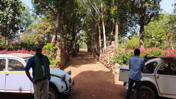 belle allée menant au château