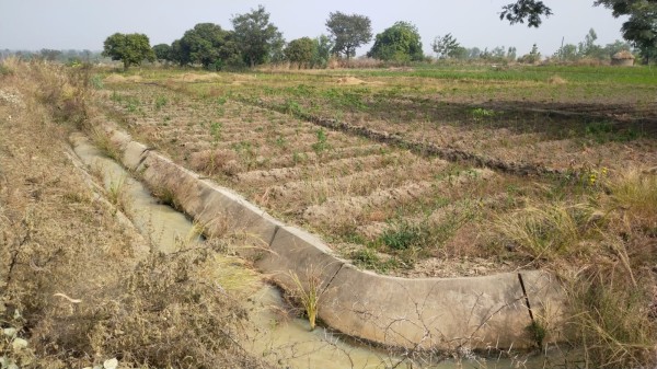 Irrigation et maraichage en aval du barrage