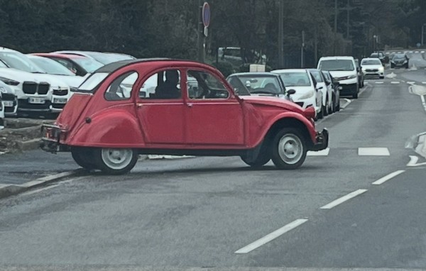 IMG_8296.jpeg