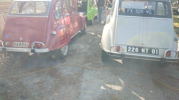 WhatsApp Image 2025-09-06 à 10.14.37_9e965ab5.jpg (231.24 Kio) Vu 1210 fois Rencontre de sa sœur Suédoise née un an plutôt en Belgique