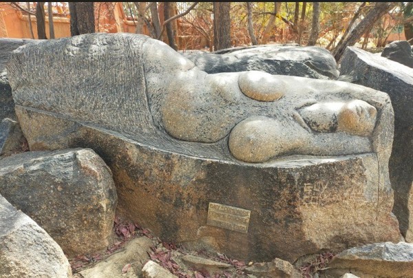 Capture d’écran 2026-01-26 164515.jpg