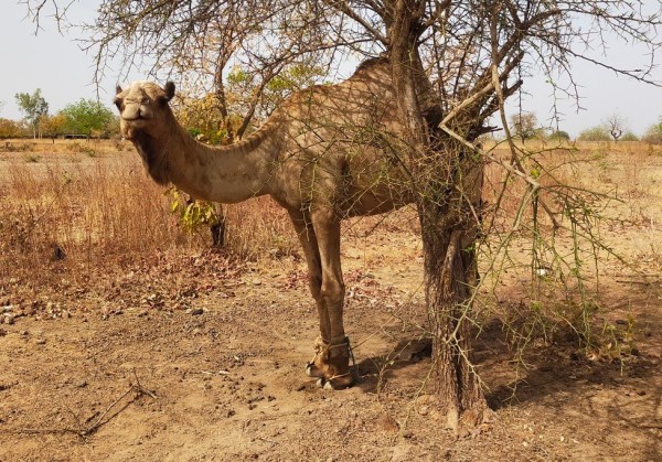 Capture d’écran 2026-03-20 210716.jpg