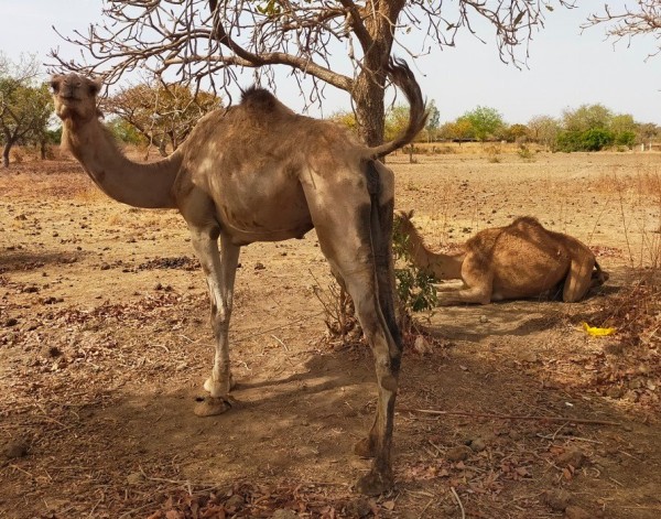 Capture d’écran 2026-03-20 210756.jpg
