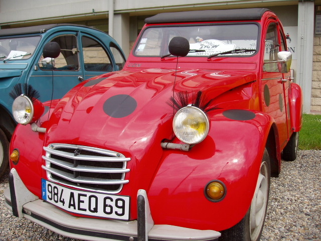 P1010154.JPG
