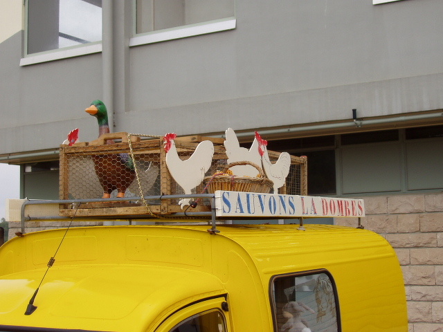 P1010157.JPG